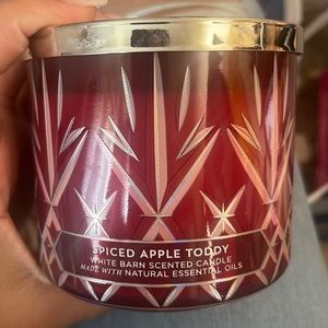 Spiced Apple Toddy Bath and Body Works Candle